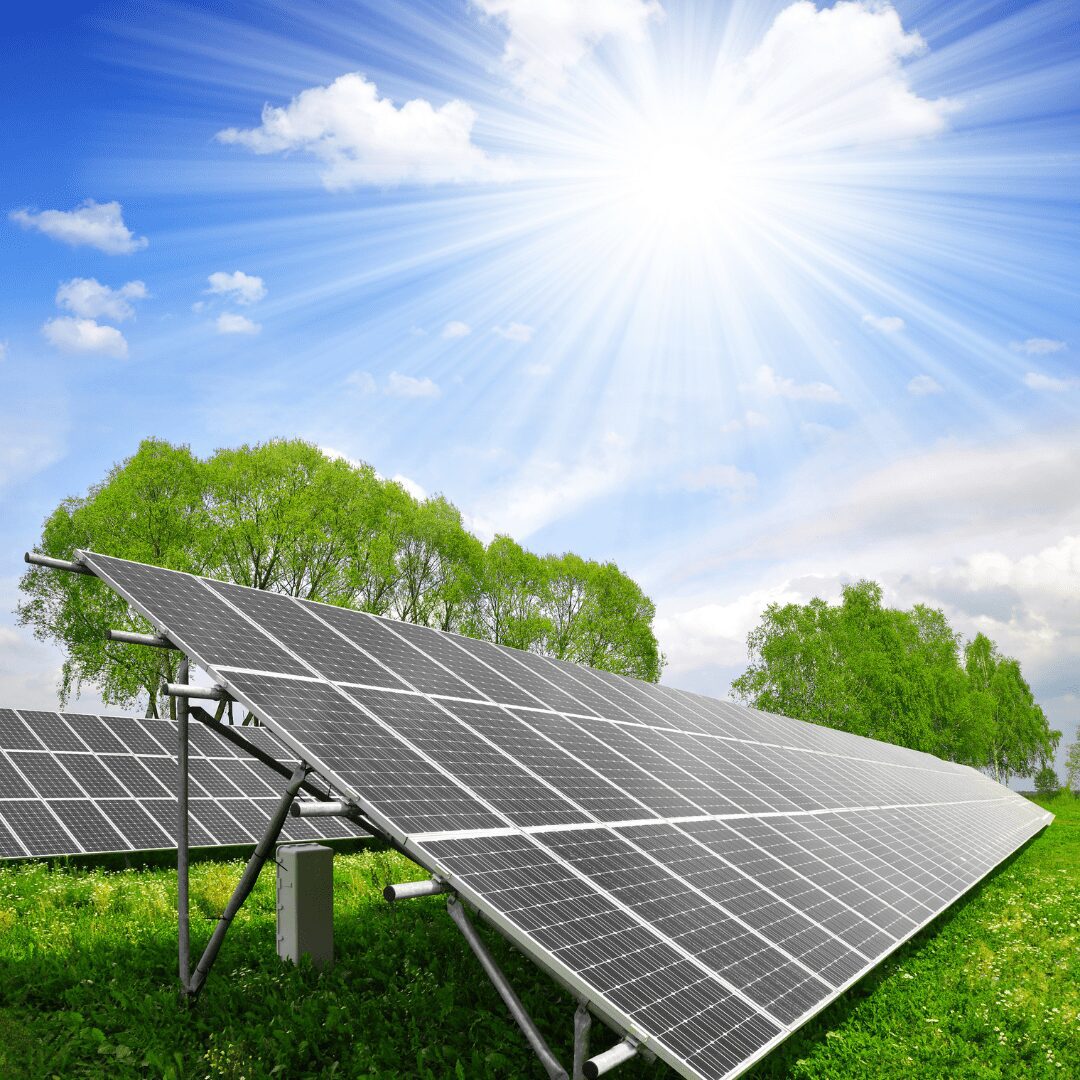 Transformando o Sol em Energia Elétrica: Guia Definitivo sobre Placa de Energia Solar