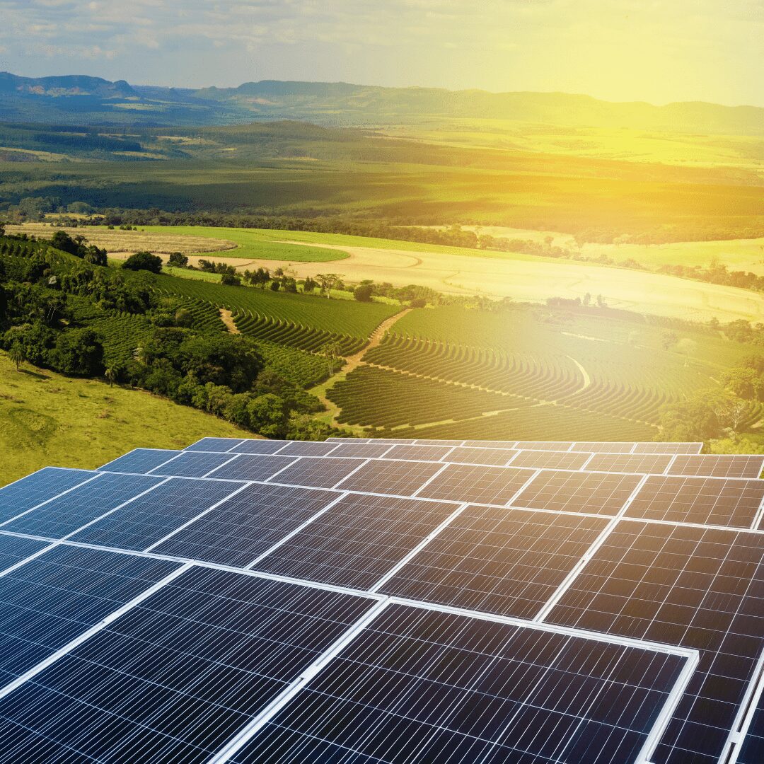 Usina solar: Aprenda tudo sobre sua funcionalidade, tipos e vantagens